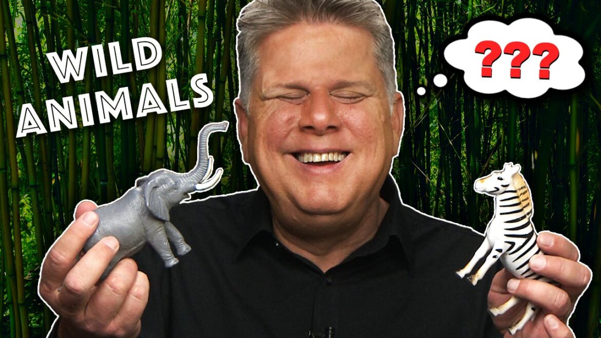 Guessing Wild Animals YTTN 03